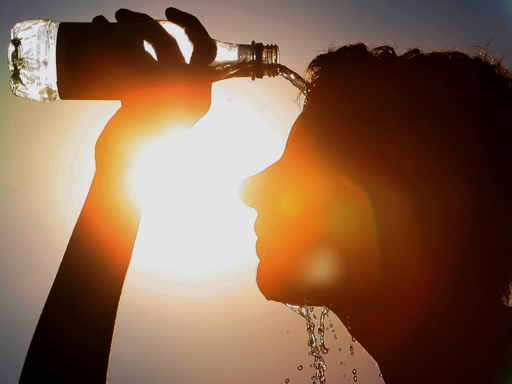Ola de calor